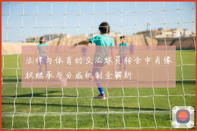 法律与体育的交汇球员转会中肖像权继承与分成机制全解析