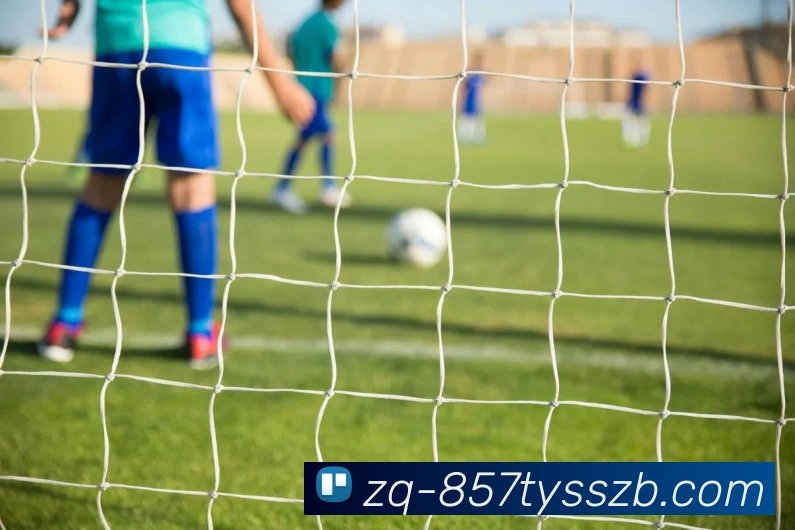 857体育赛事直播服务体系